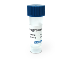 Anti-DYKDDDDK Tag Affinity Gel